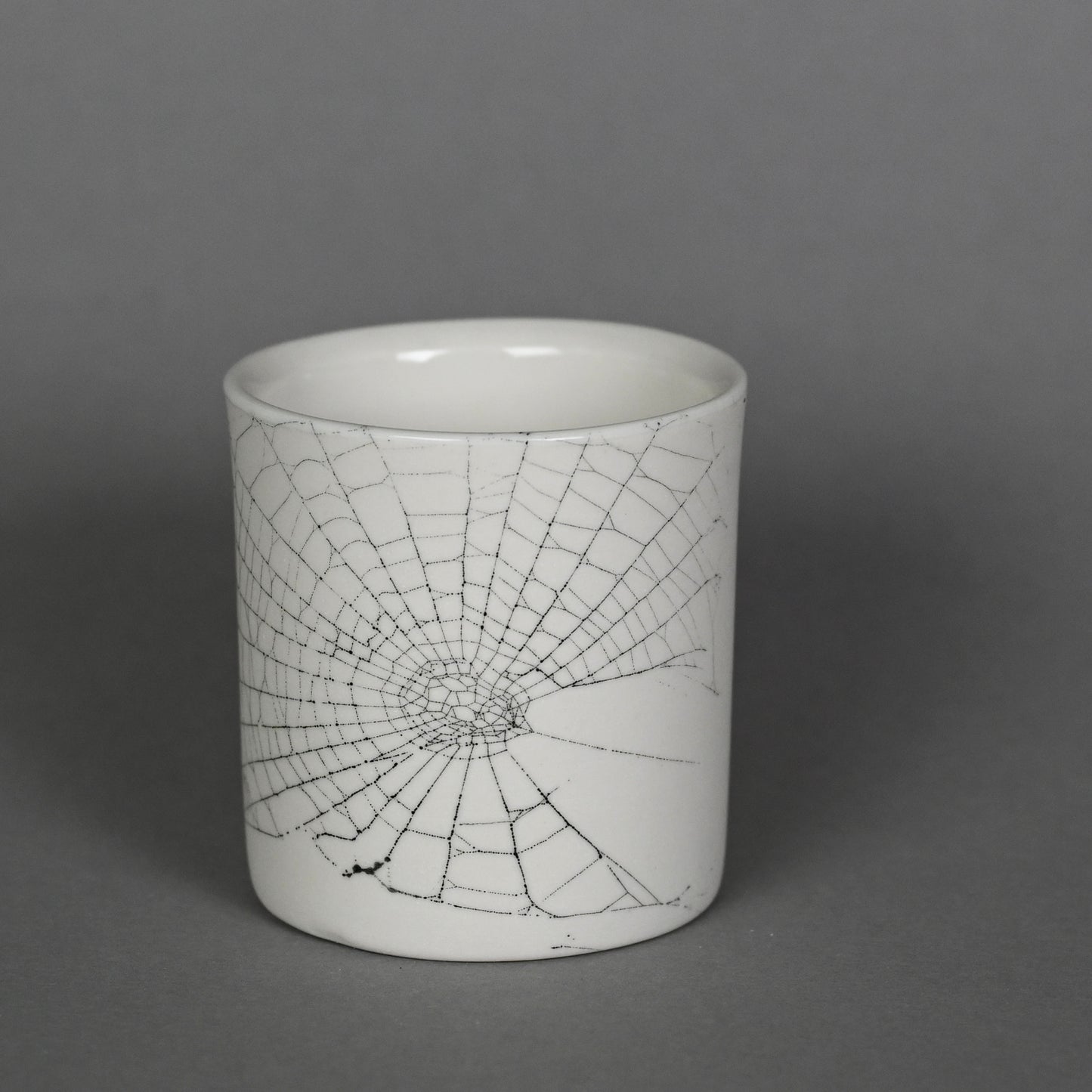 Web on Clay (218), Collected October 01, 2022