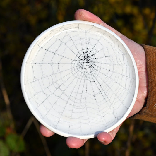 Web on Clay (225), Collected October 21, 2022
