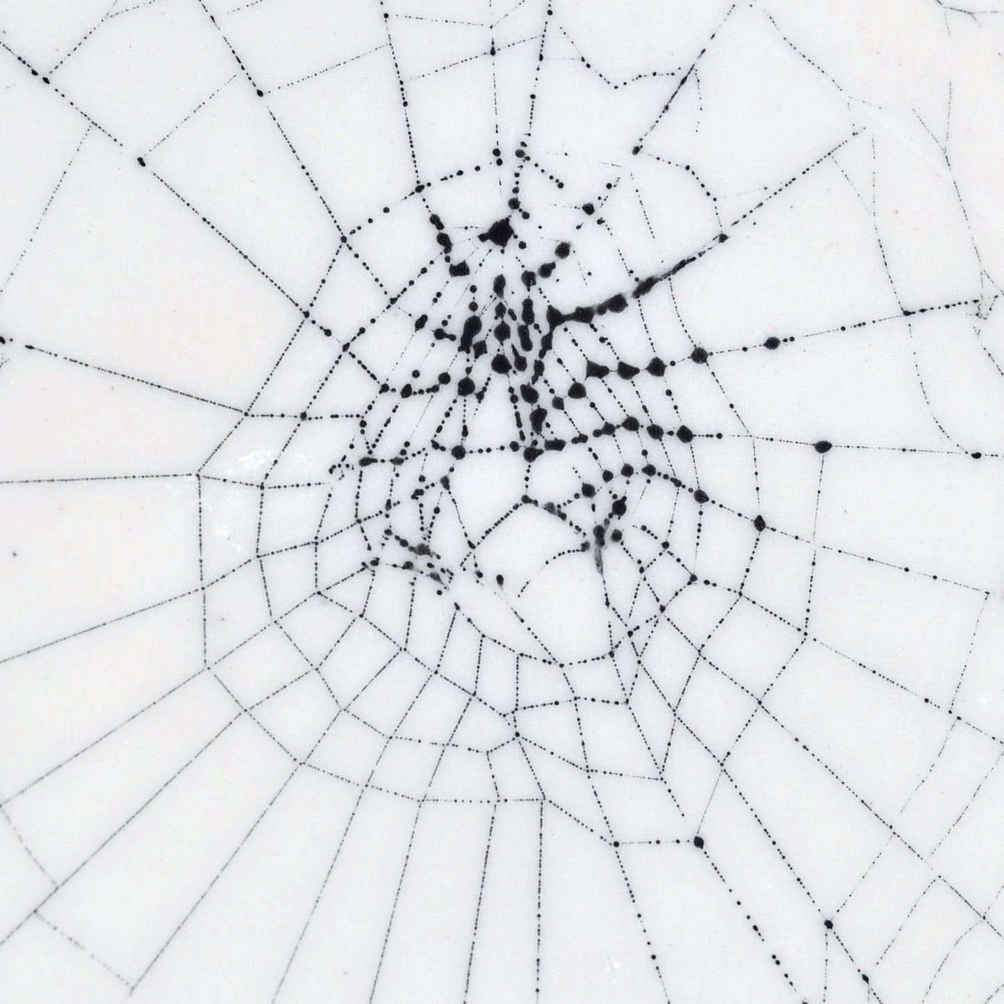 Web on Clay (225), Collected October 21, 2022