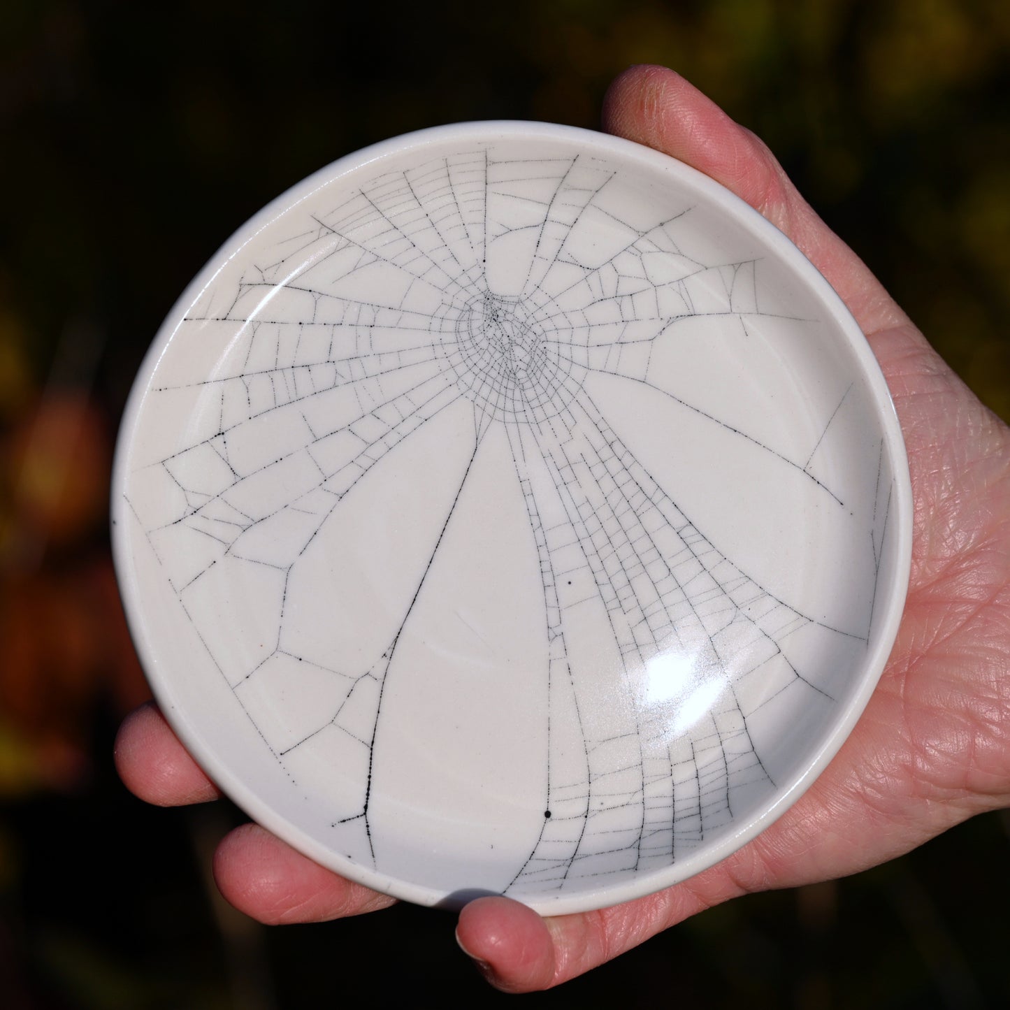 Web on Clay (226), Collected October 30, 2022