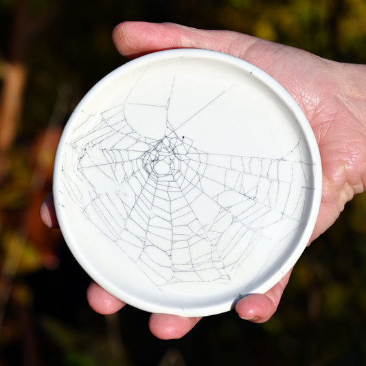 Web on Clay (233), Collected October 04, 2022