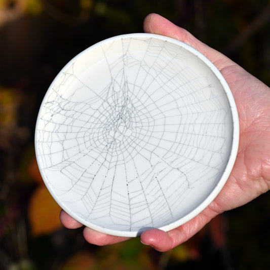 Web on Clay (231), Collected October 06, 2022