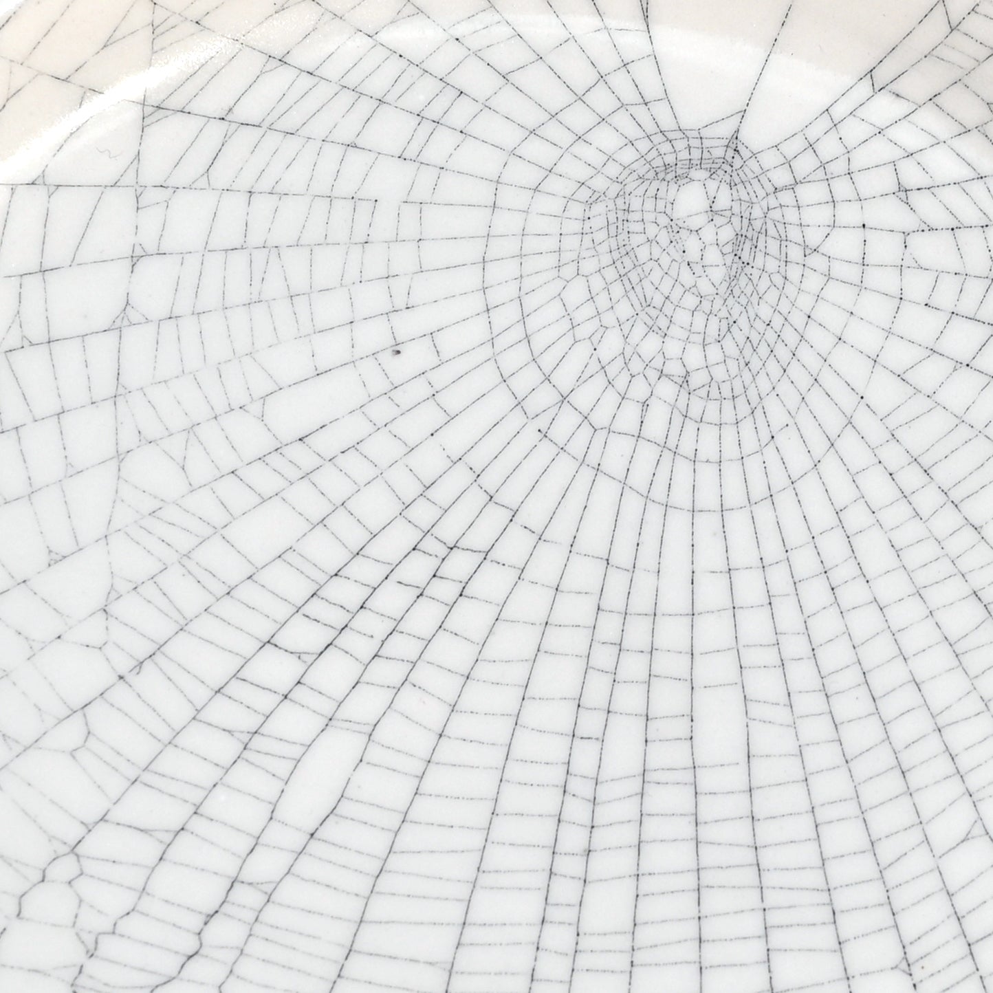Web on Clay (232), Collected October 03, 2022