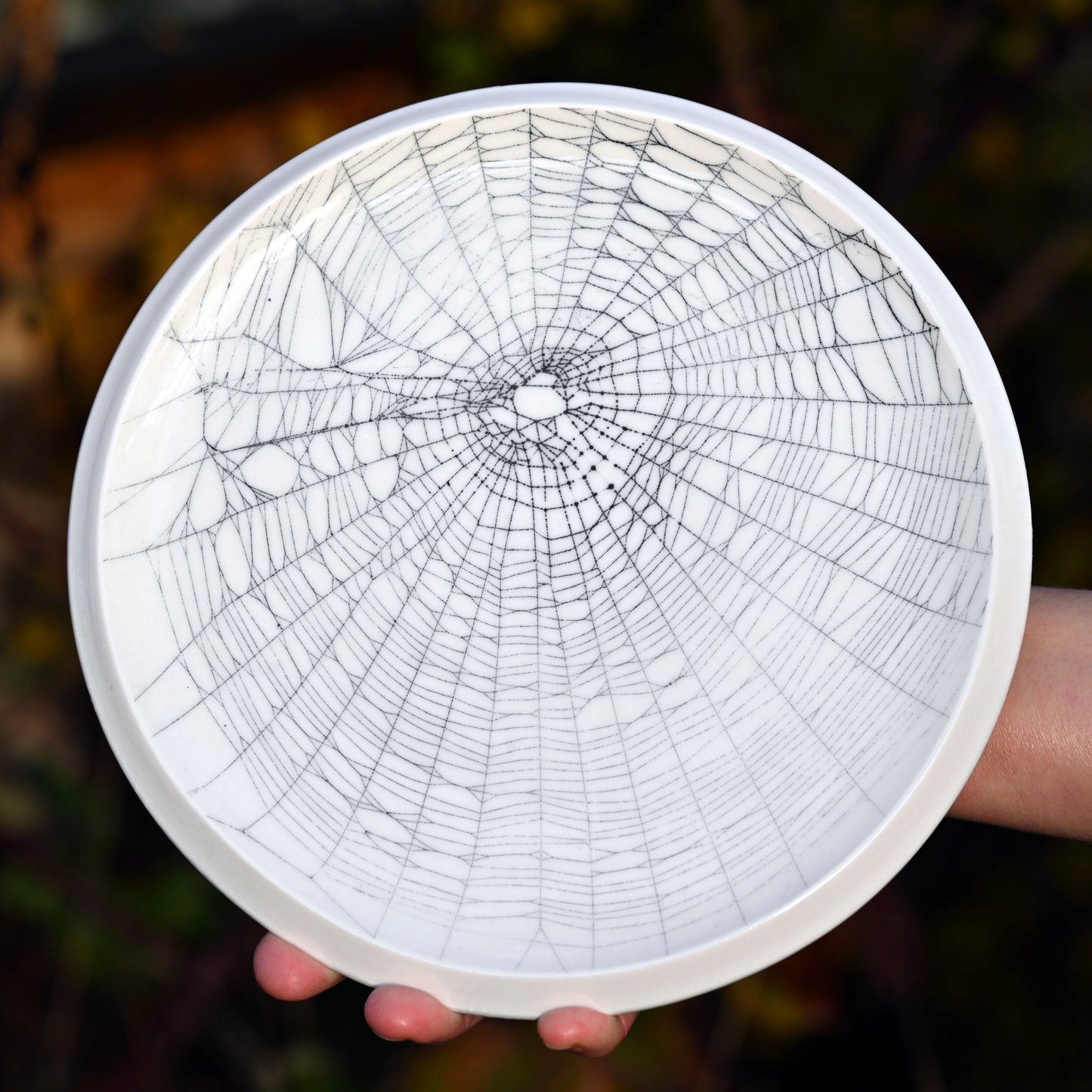 Web on Clay (234), Collected September 21, 2022