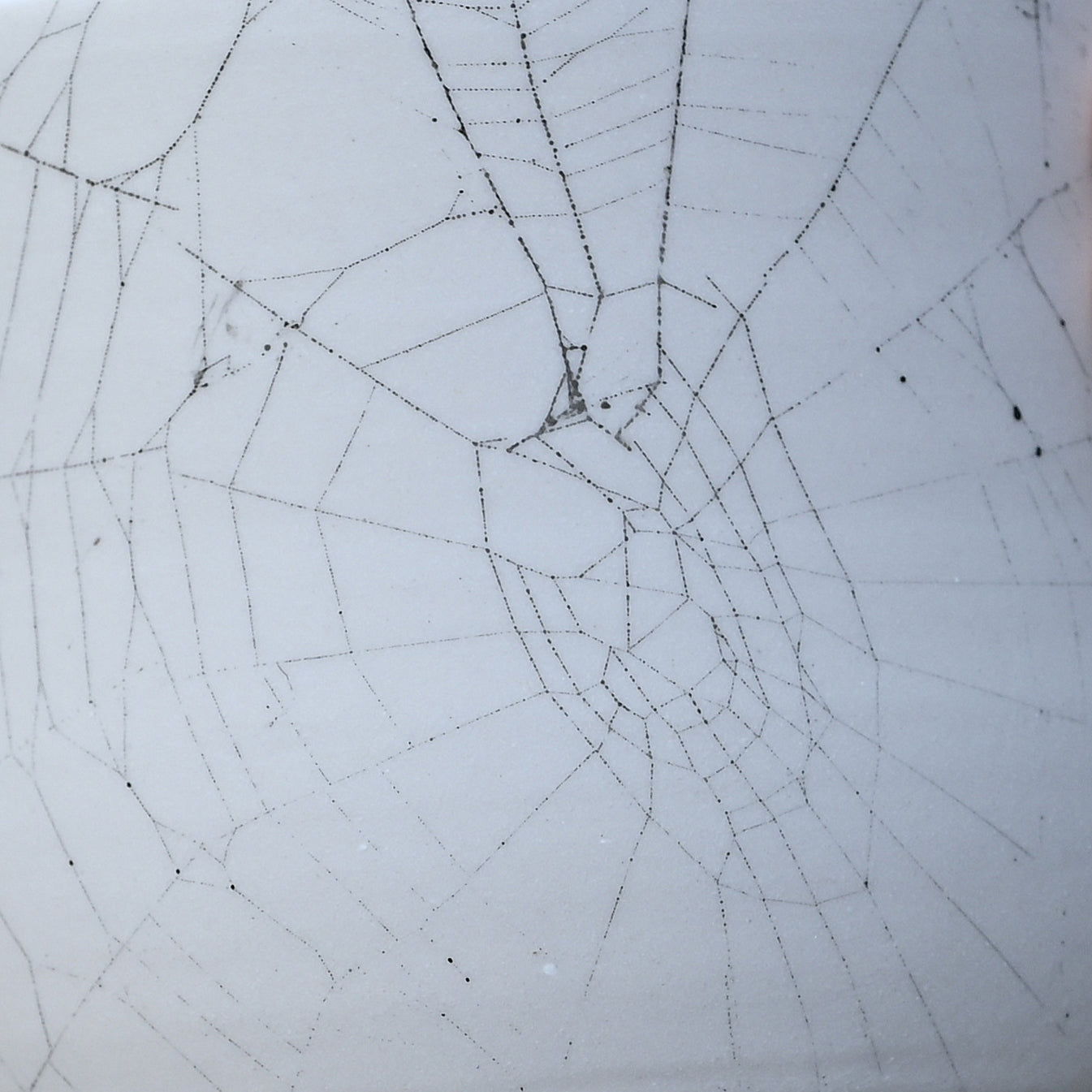 Web on Clay (244), Web Collected October 29, 2022