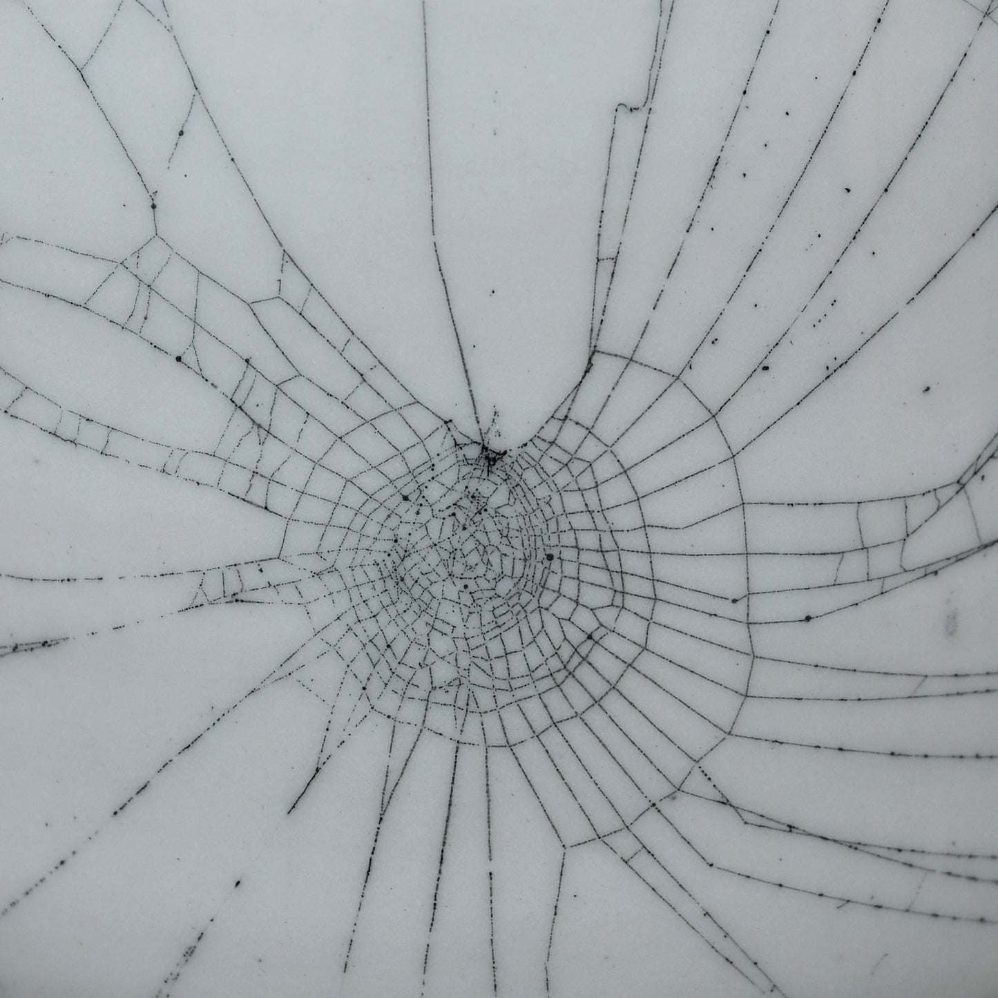 Double Web on Clay (247), Webs Collected October 27, 2022