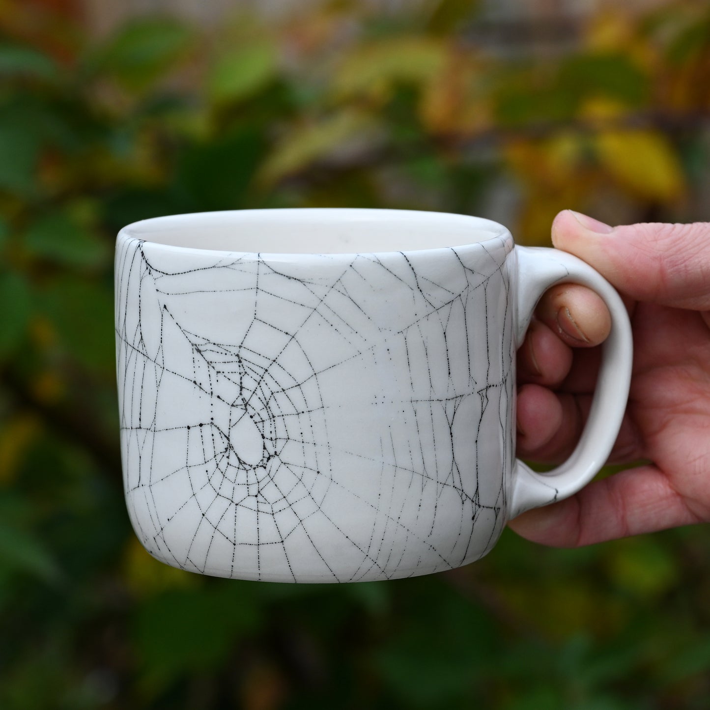 Web on Clay (248), Web Collected October 30, 2022
