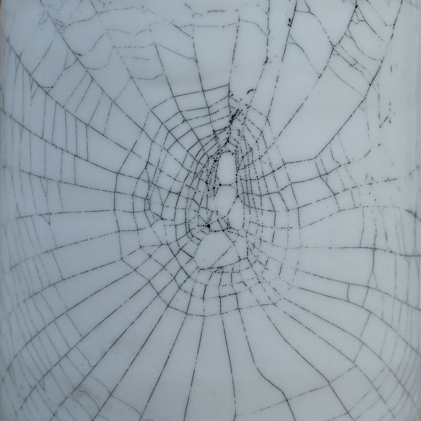 Web on Clay (249), Web Collected October 31, 2022