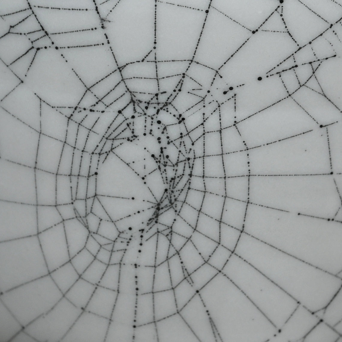 Web on Clay (254), Web Collected October 11, 2022