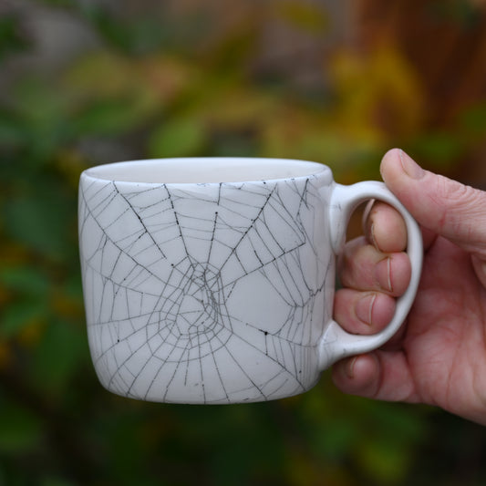 Web on Clay (257), Web Collected October 30, 2022