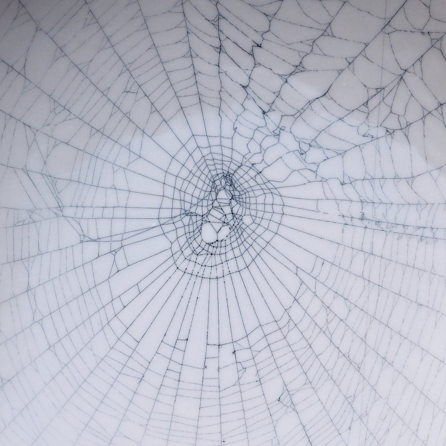 Web on Clay (265), Collected October 08, 2022