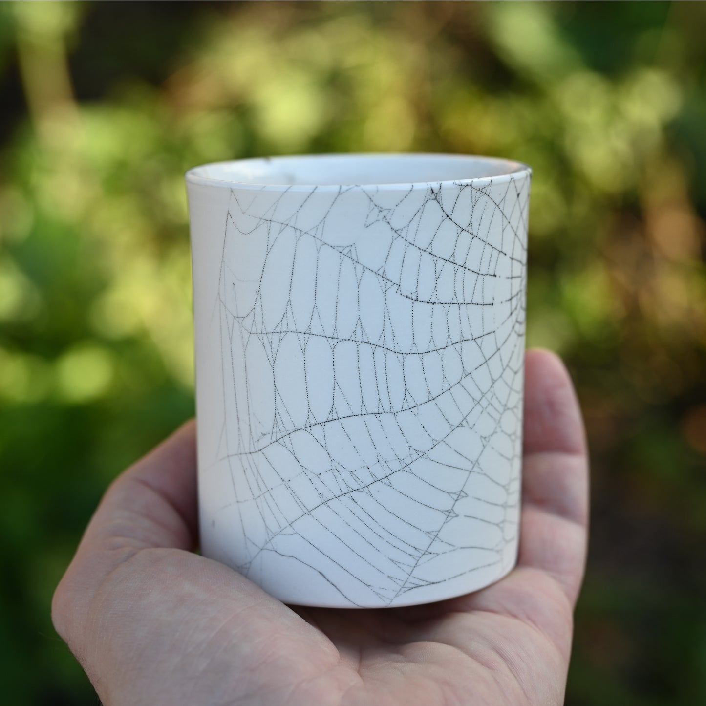 Web on Clay (214), Collected September 24, 2022