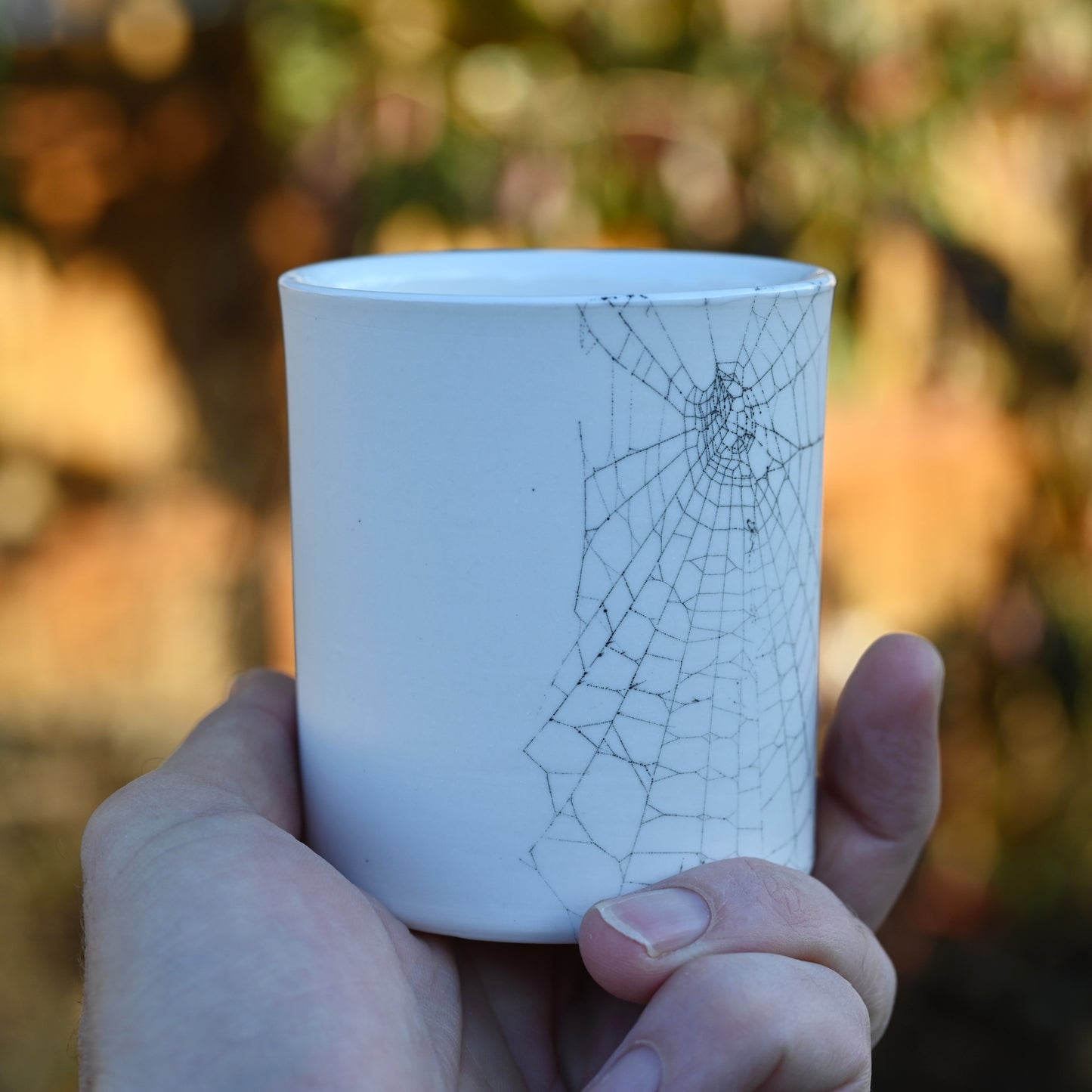 Web on Clay (160), Collected September 12, 2022