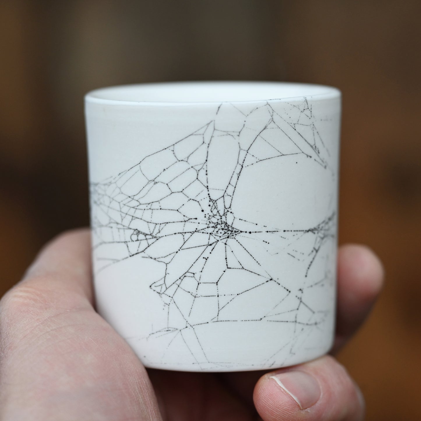 Web on Clay (158), Collected October 01, 2022