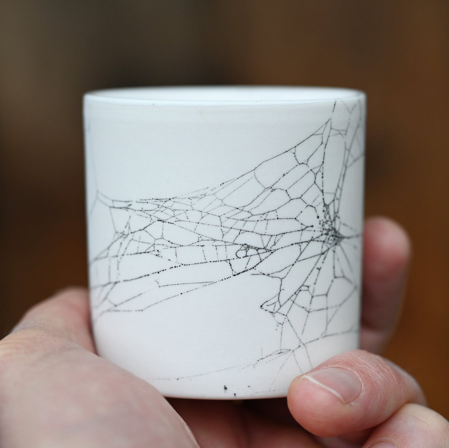 Web on Clay (158), Collected October 01, 2022