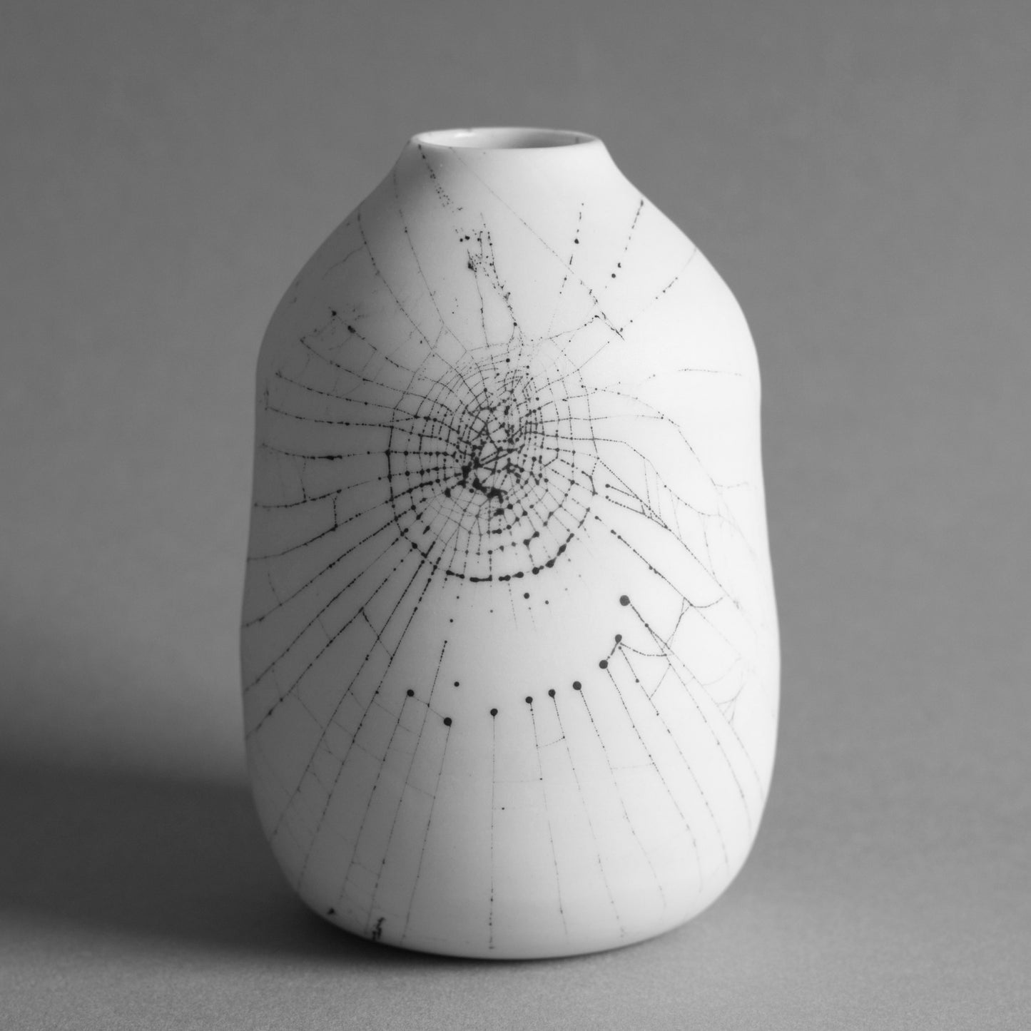 Web on Clay (050), Collected August 25, 2022