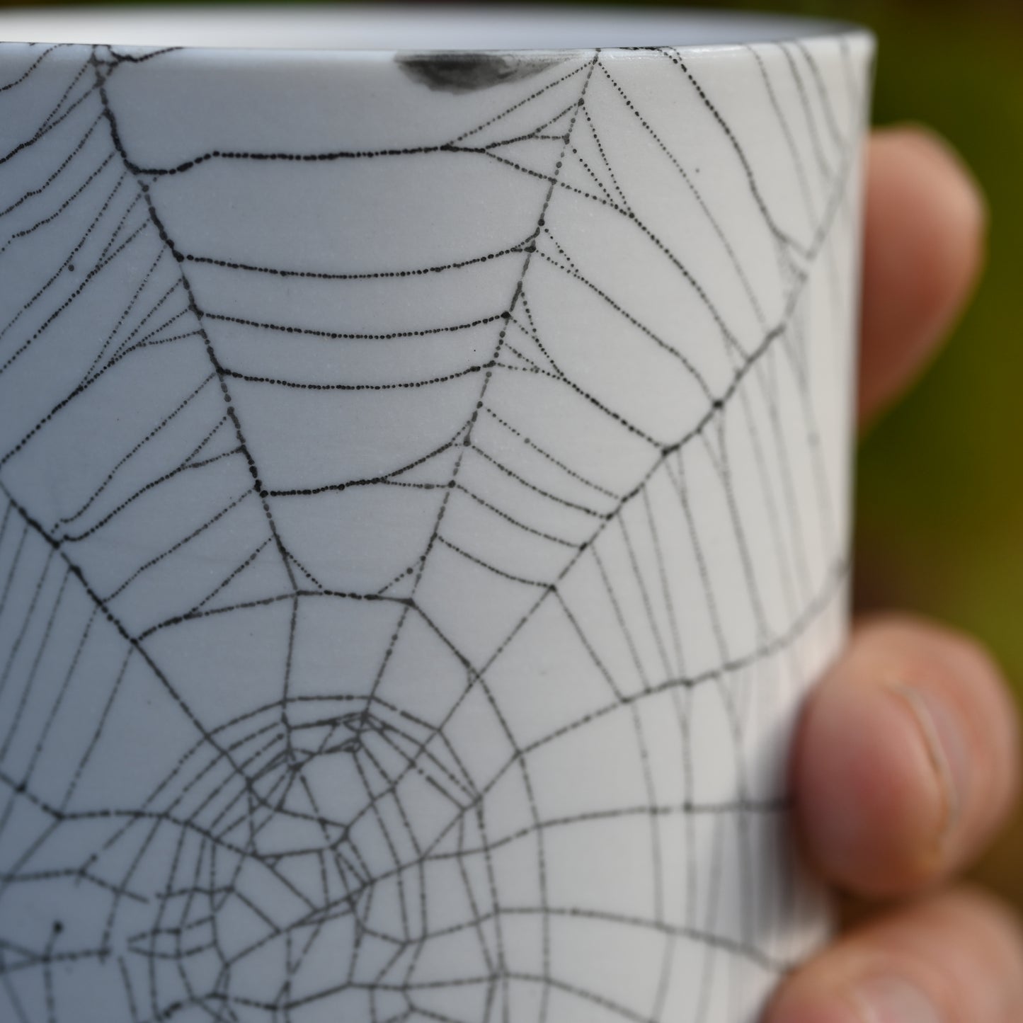 Web on Clay (085), Collected September 04, 2022