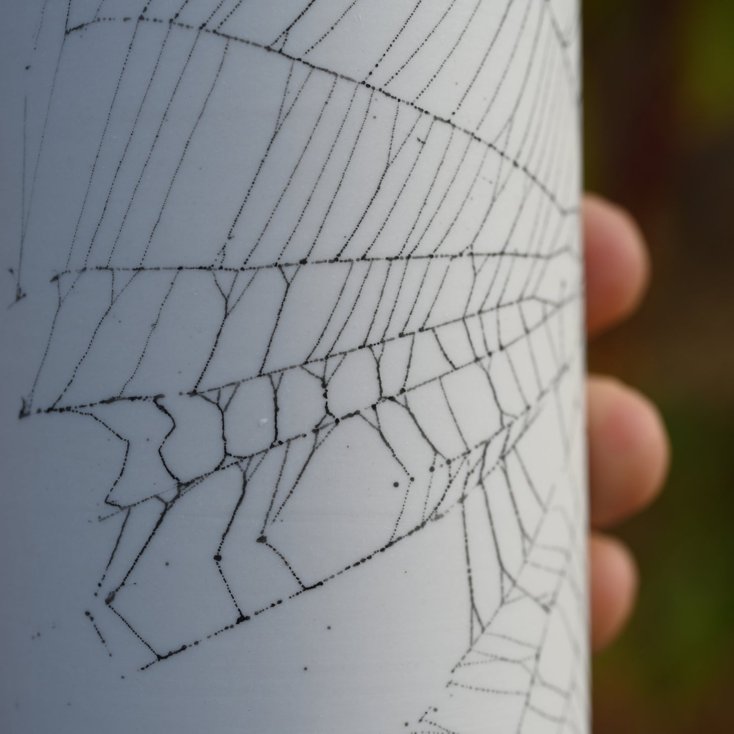 Web on Clay (085), Collected September 04, 2022