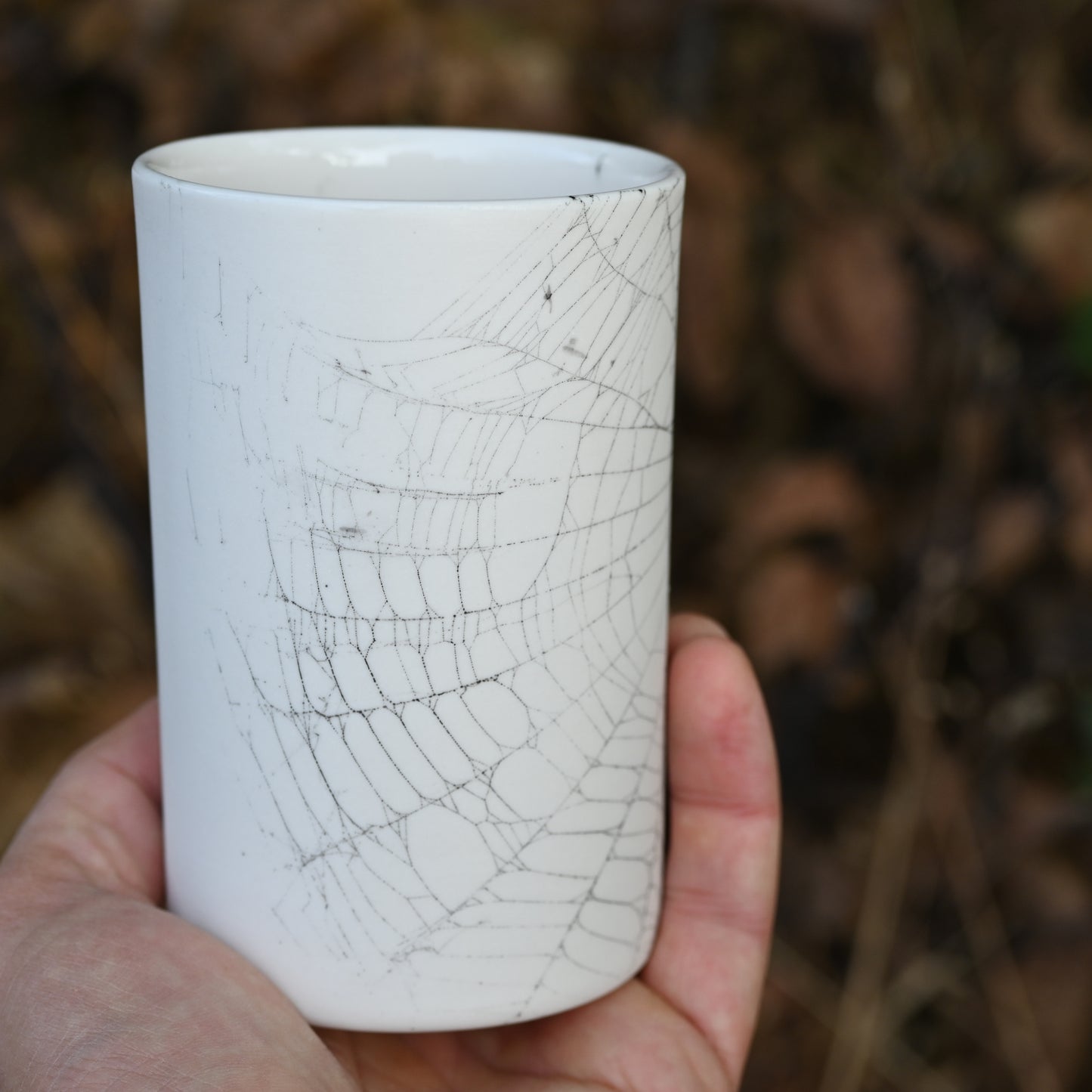 Web on Clay (089), Collected September 05, 2022