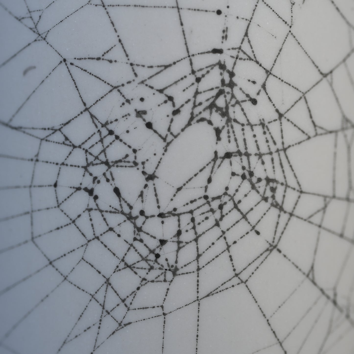 Web on Clay (089), Collected September 05, 2022