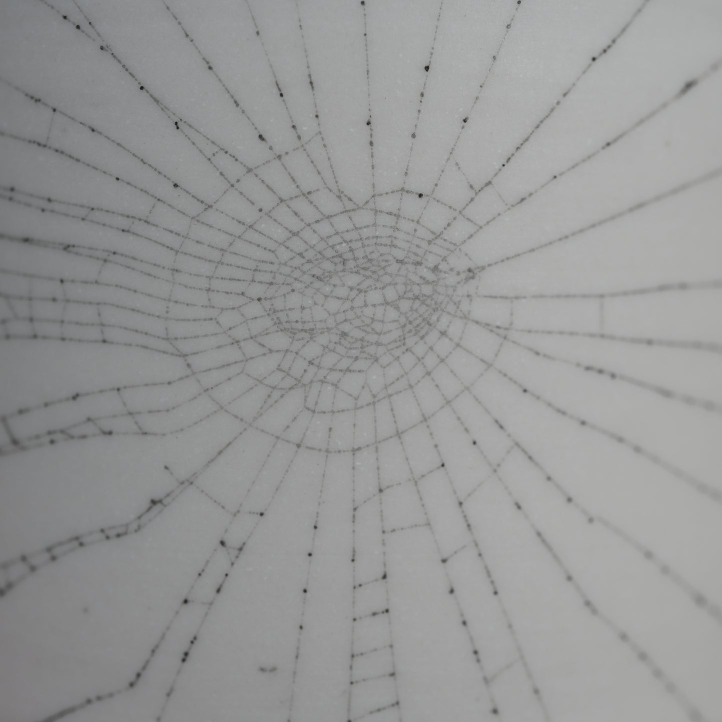 Web on Clay (092), Collected September 04, 2022