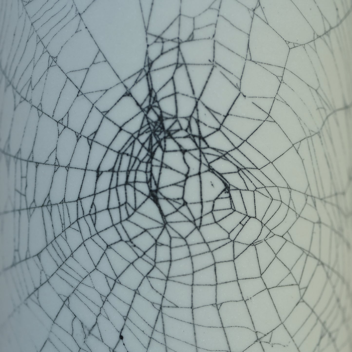 Web on Clay (113), Collected September 03, 2022