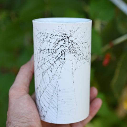 Web on Clay (116), Collected September 07, 2022