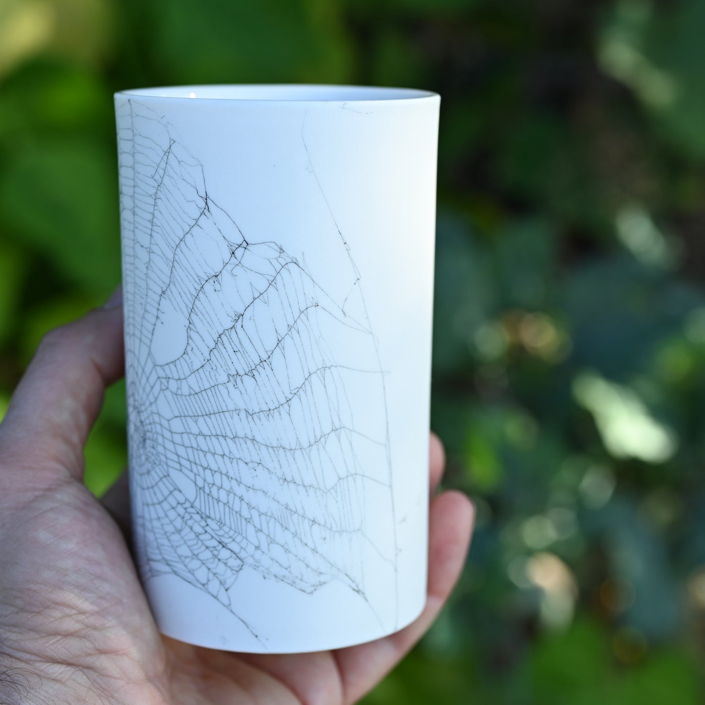 Web on Clay (118), Collected September 09, 2022