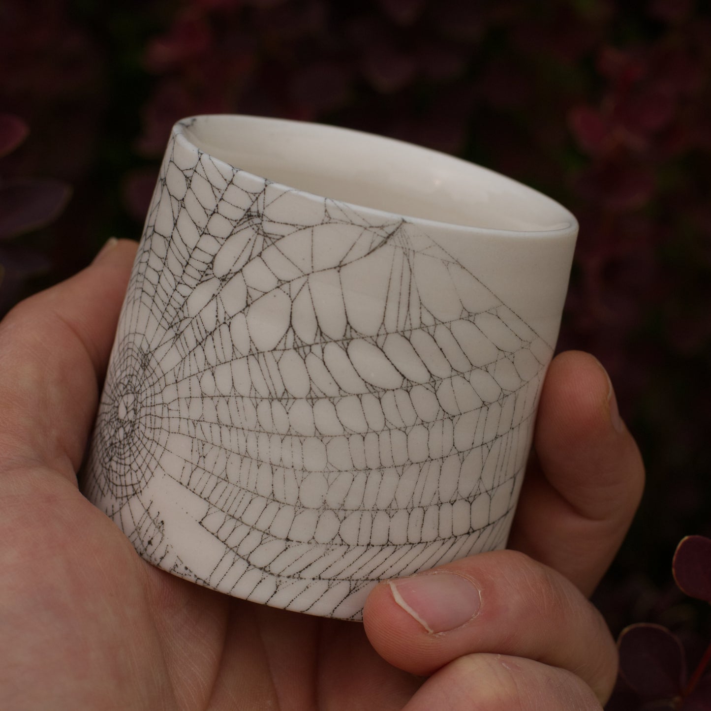 Web On Clay (052), Collected August 23, 2022