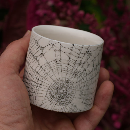 Web On Clay (052), Collected August 23, 2022